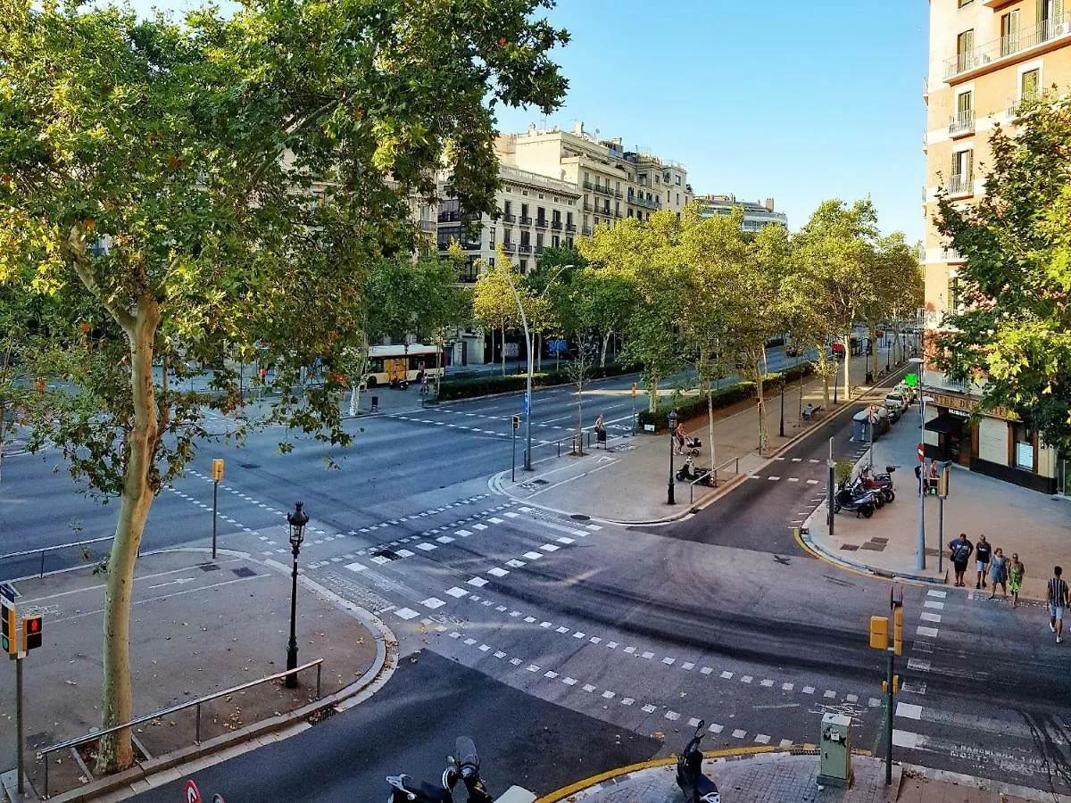 Homestay Citycenter Barcellona
